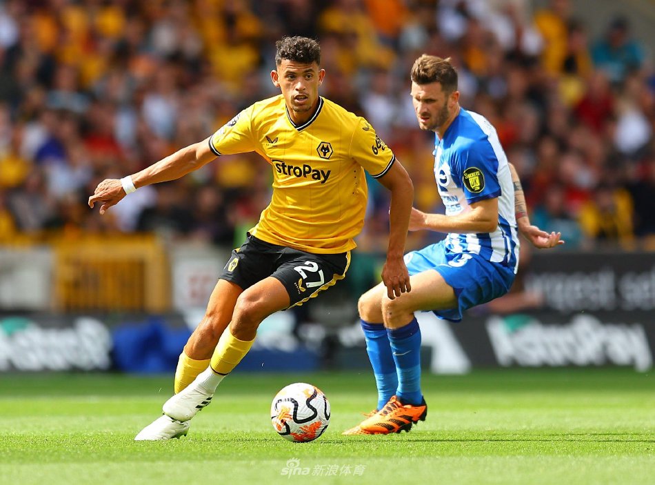 到被媒体人 到被媒体人